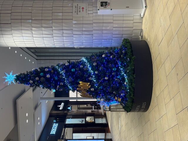 名古屋ビルディングクリスマスツリー