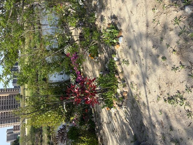 河川敷の花壇