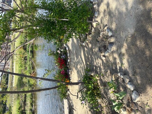 河川敷の花壇