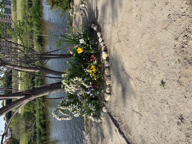 河川敷の花壇