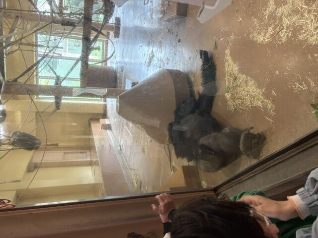 シャバーニのいる東山動物園