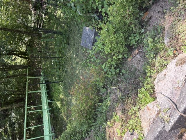 今夏の草刈り依頼多数