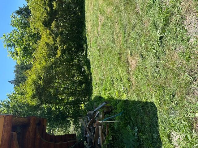 今夏の草刈り依頼多数