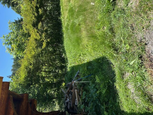 今夏の草刈り依頼多数