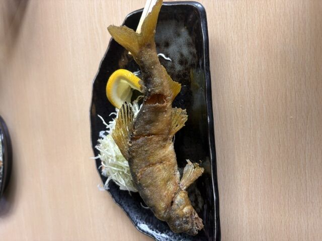 関市モネの池と鮎やの鮎料理