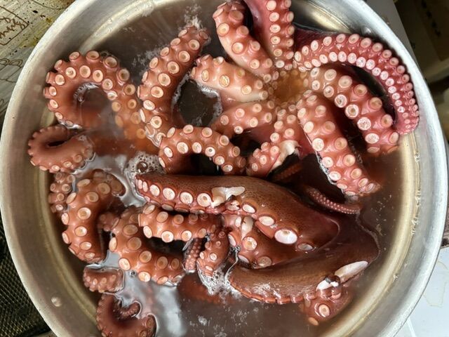 大山沖でのタコ釣り