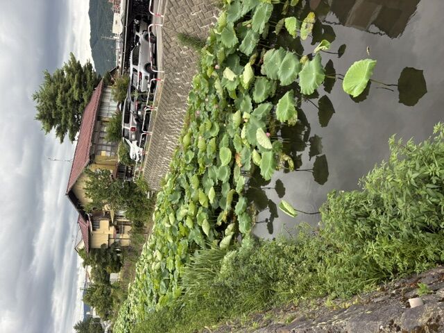 諏訪湖上花火大会