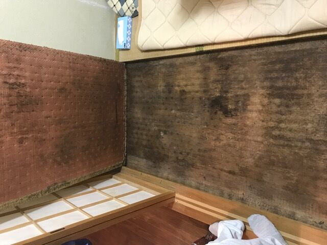 カビた畳の入れ替え
