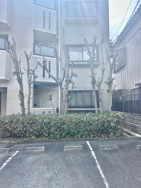マンション管理　植栽枝伐採